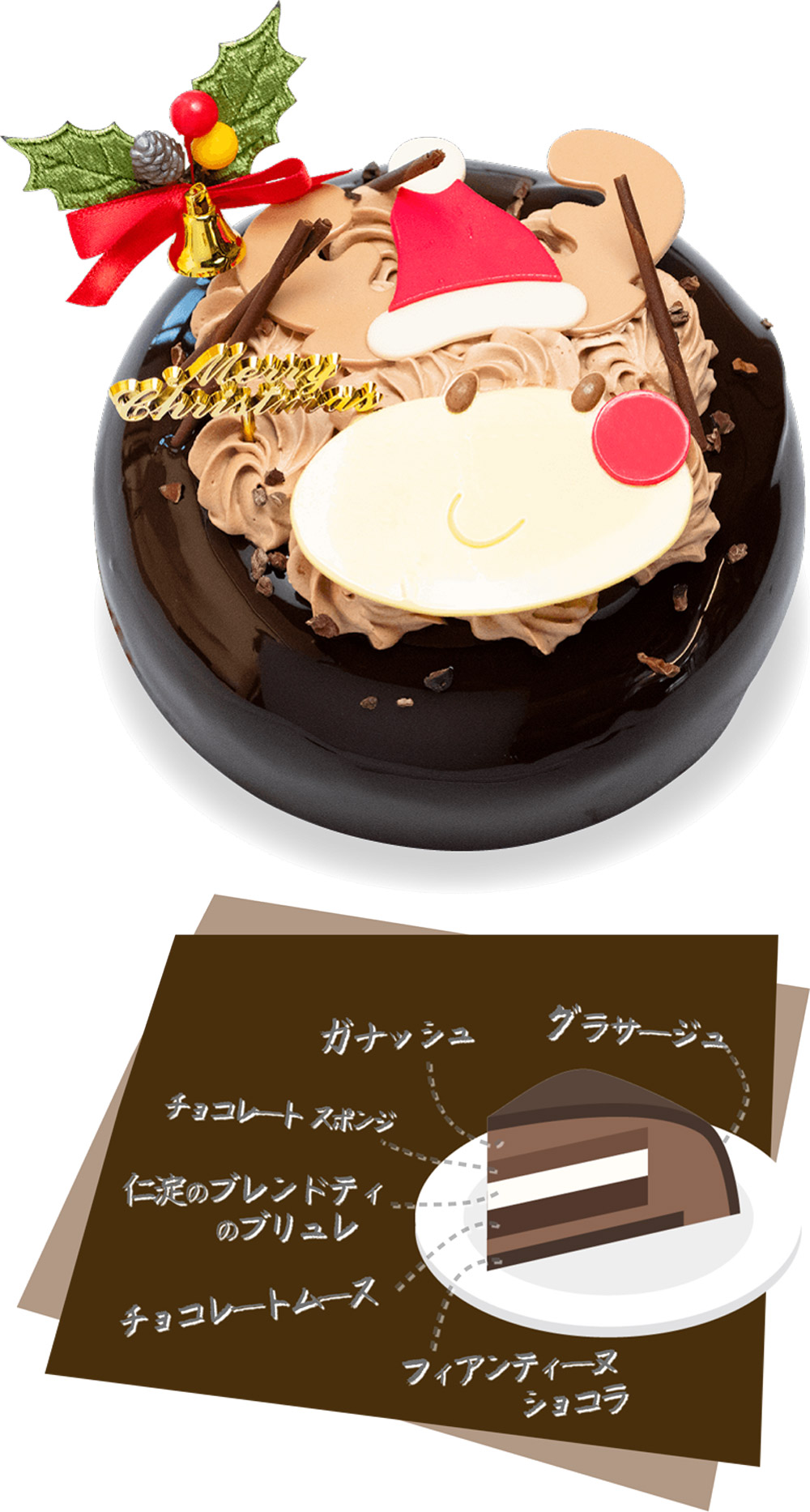 クリスマスケーキ2025 Xmasノエルショコラ